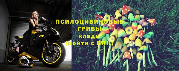 гидропоника Ладушкин