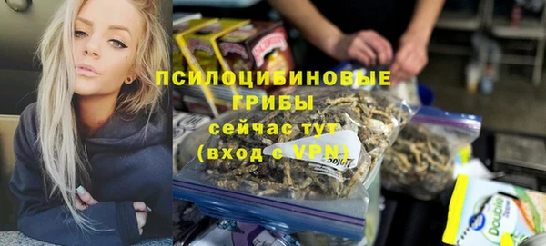 индика Лагань